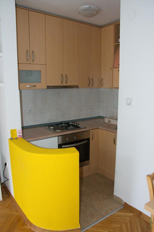 Studio Apartment In Novi Sad Center Bagian luar foto